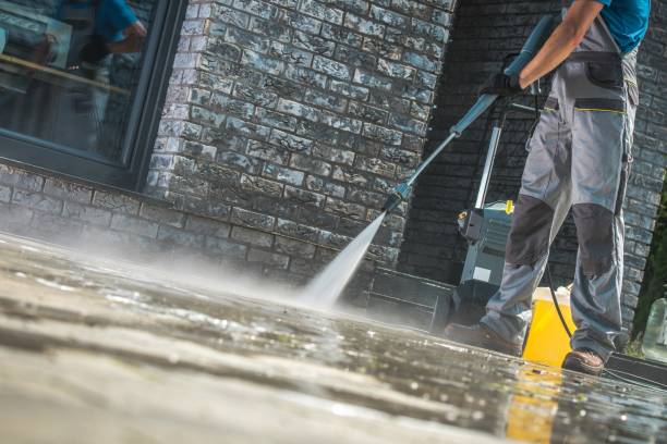 Animal Enclosure Cleaning in Lagrange, GA